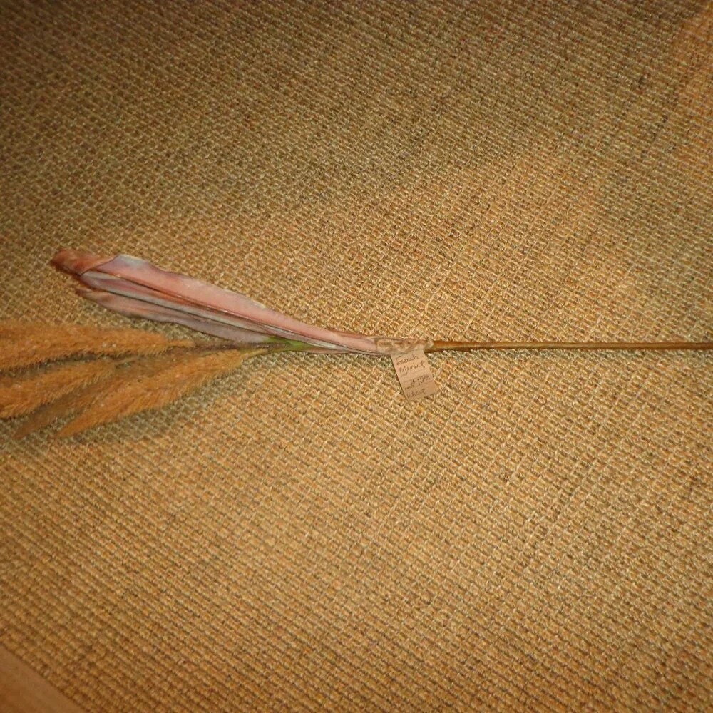 NWT French Market Faux Wheat Stem